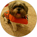 Erlin R profile picture